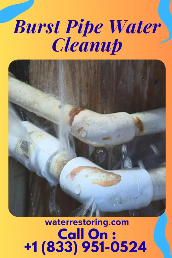 Burst Pipe Water Cleanup in McComb, OH