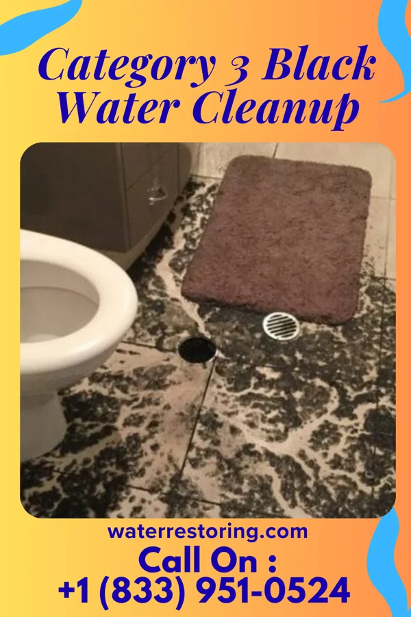 Category 3 Black Water Cleanup in McComb, OH
