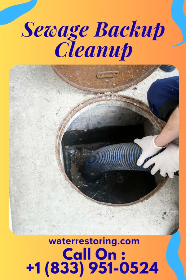 Sewage Backup Cleanup in McComb, OH