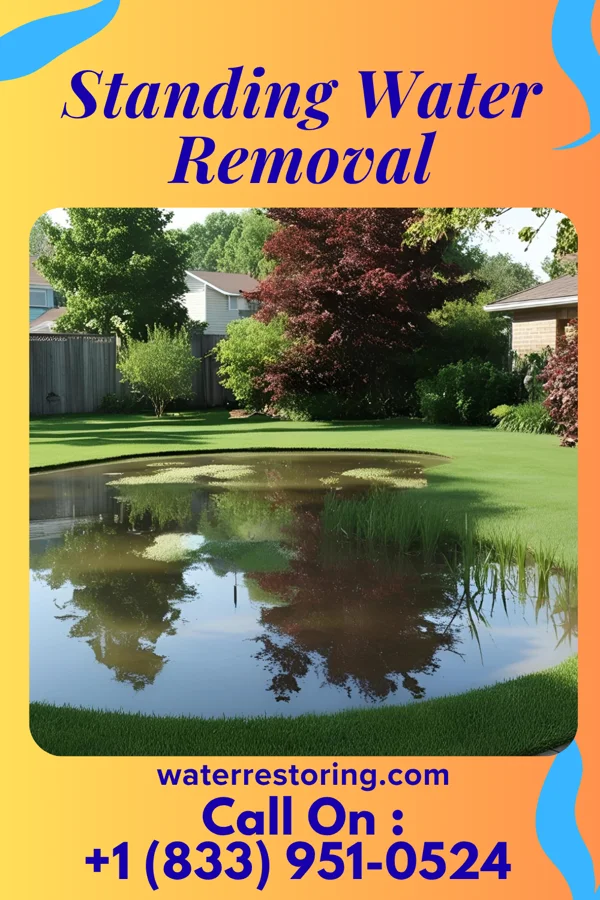 Standing Water Removal in McComb, OH